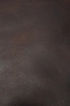 Fashion Frye Logan Backpack