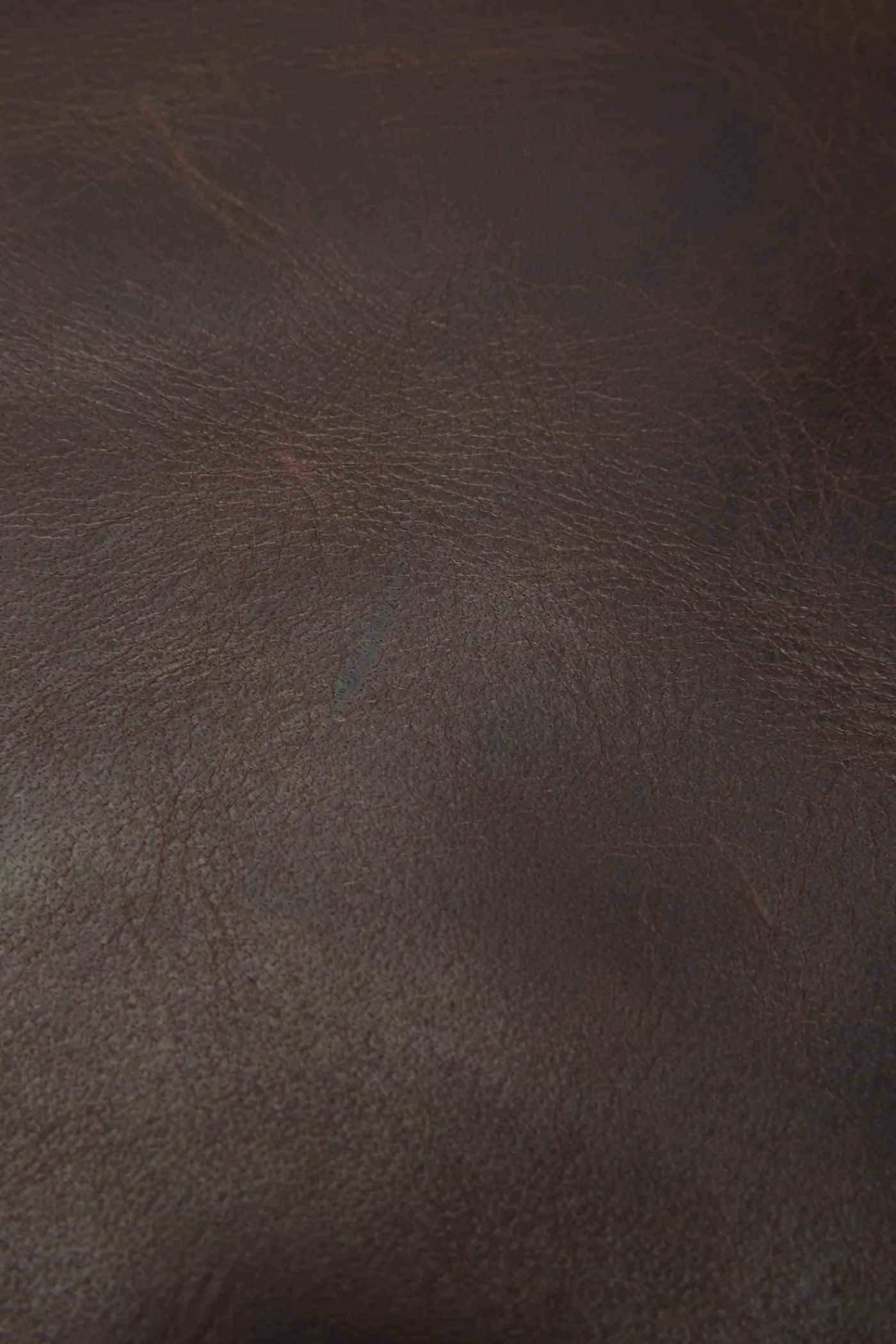 Fashion Frye Logan Backpack