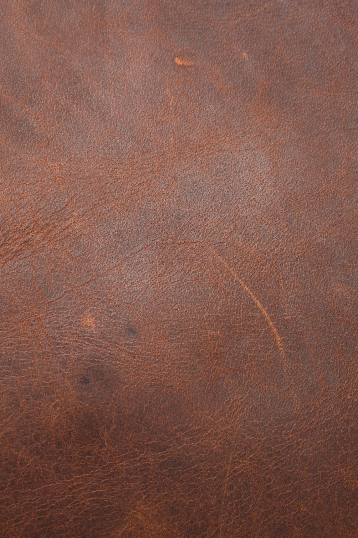 Fashion Frye Logan Backpack