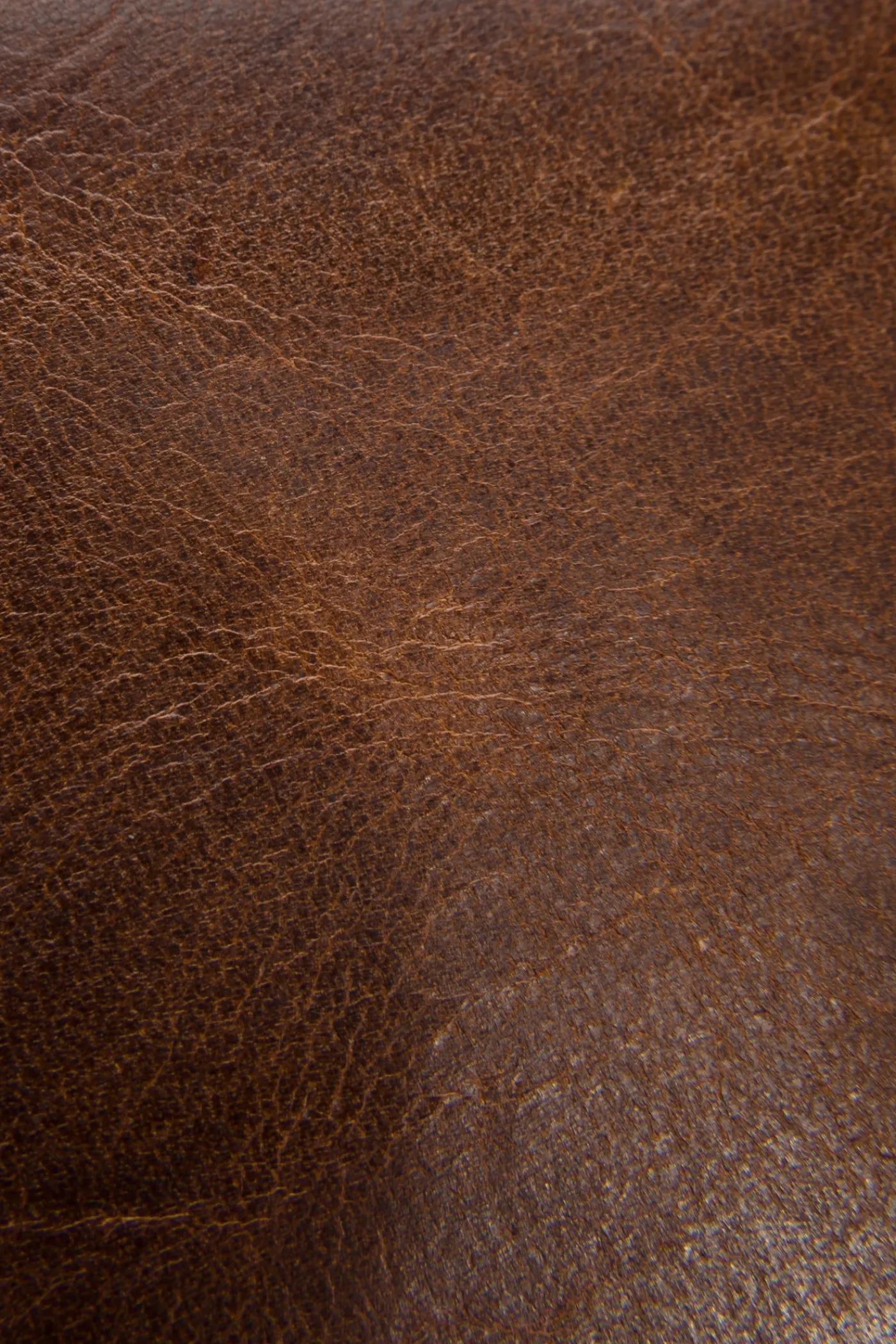 Discount Frye Logan Billfold