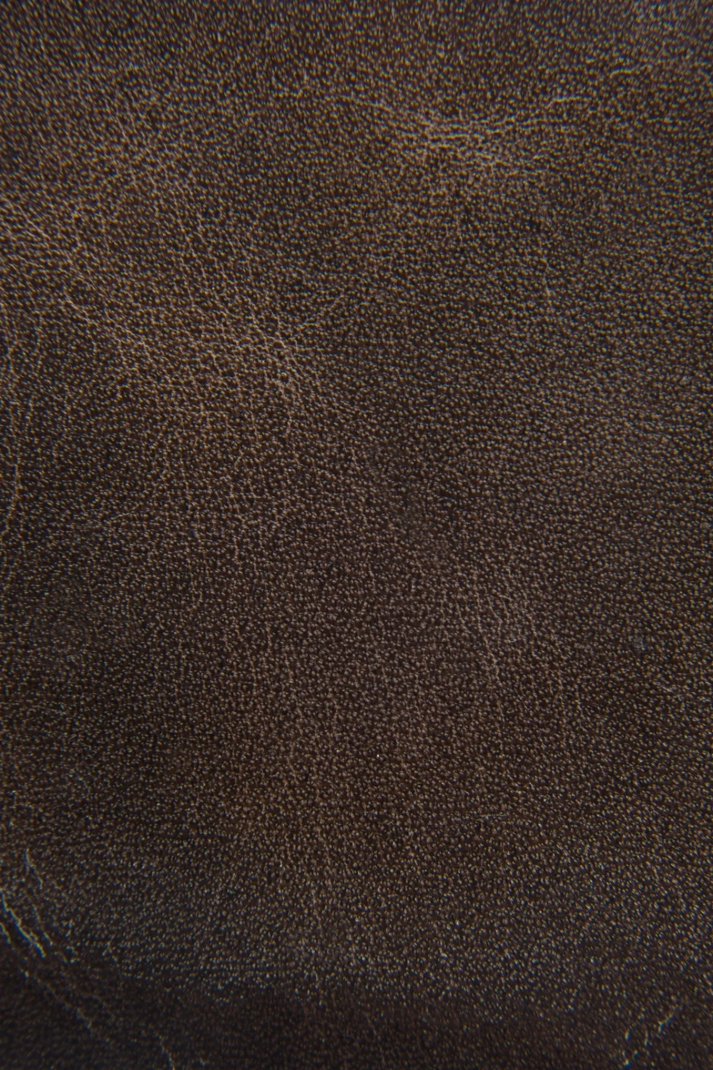 Discount Frye Logan Billfold