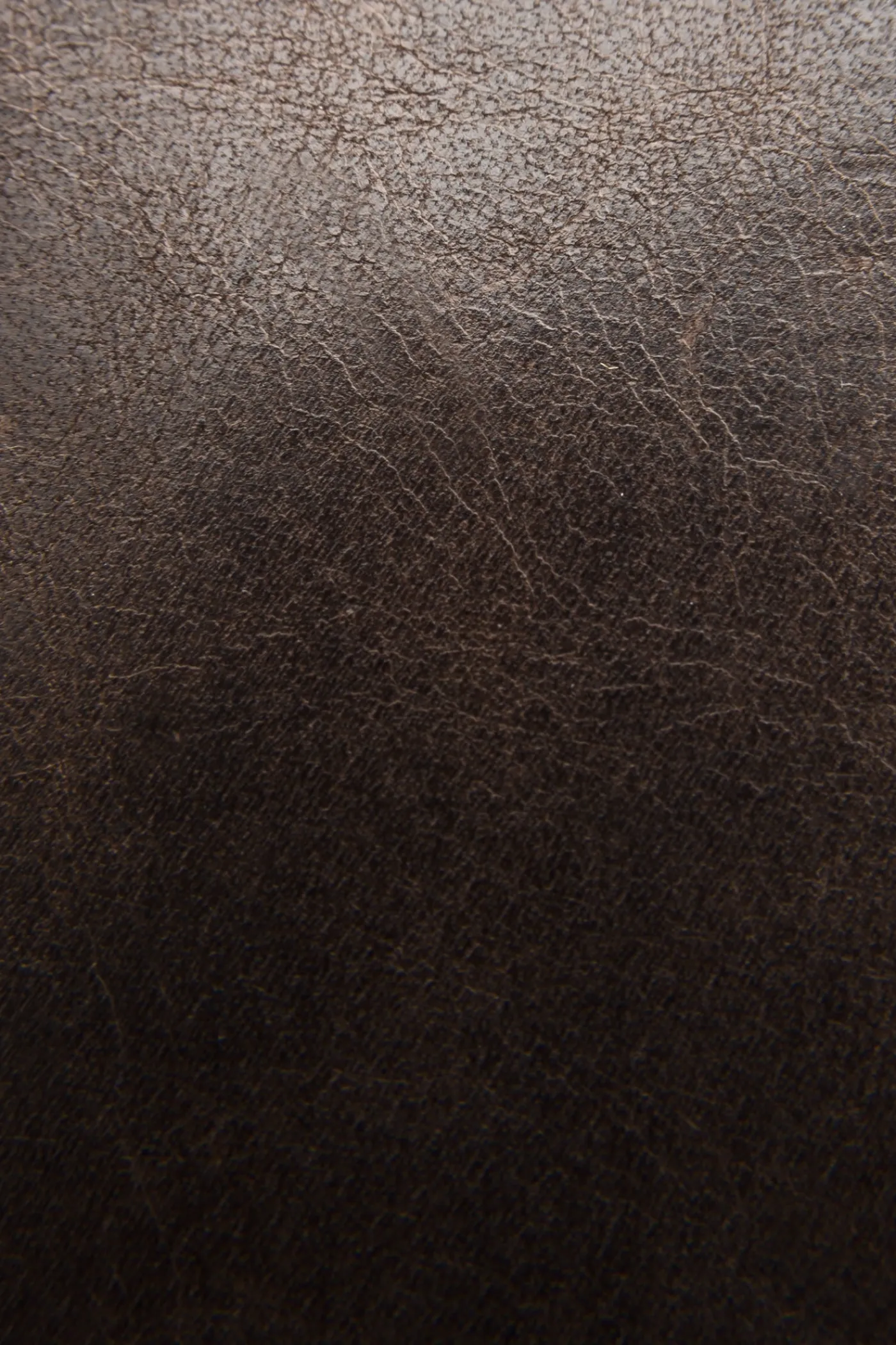 Best Frye Logan Money Clip Card Case