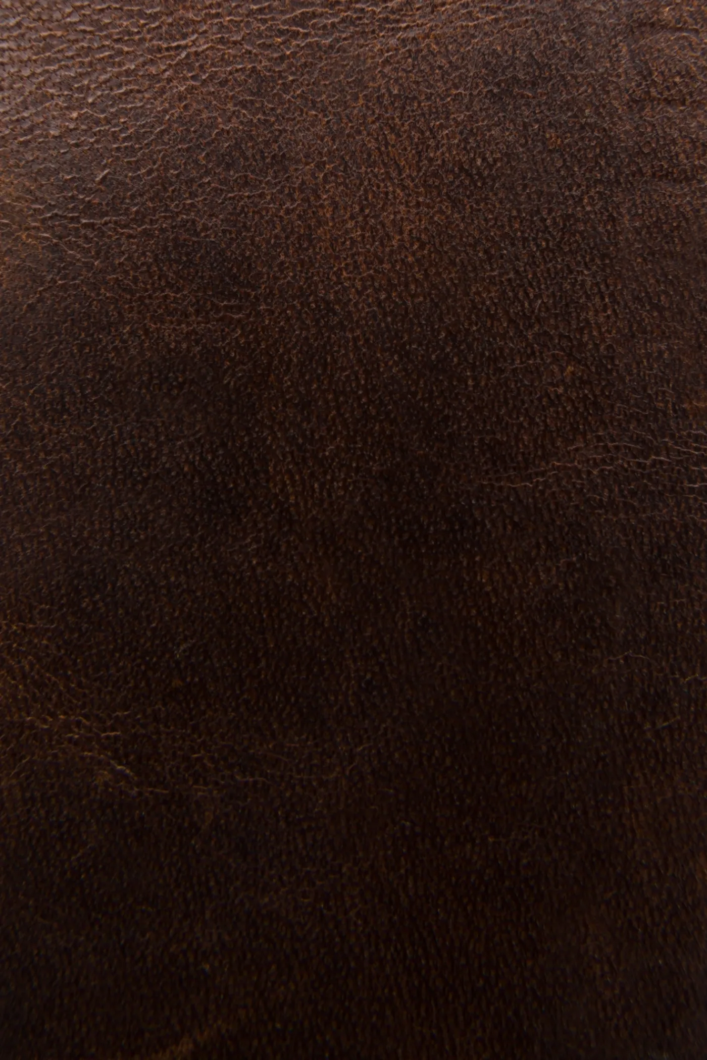 Best Frye Logan Money Clip Card Case