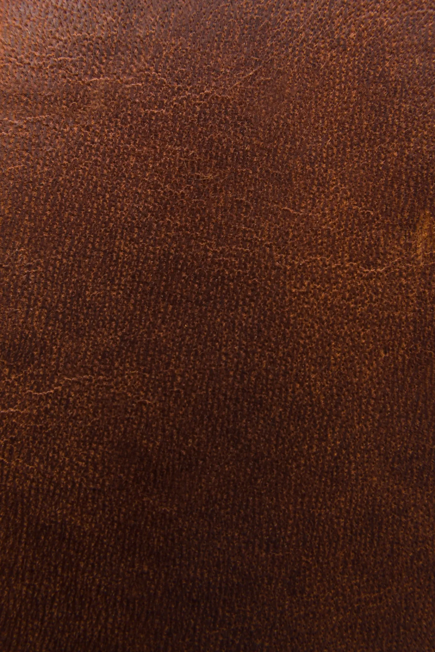 Best Frye Logan Money Clip Card Case