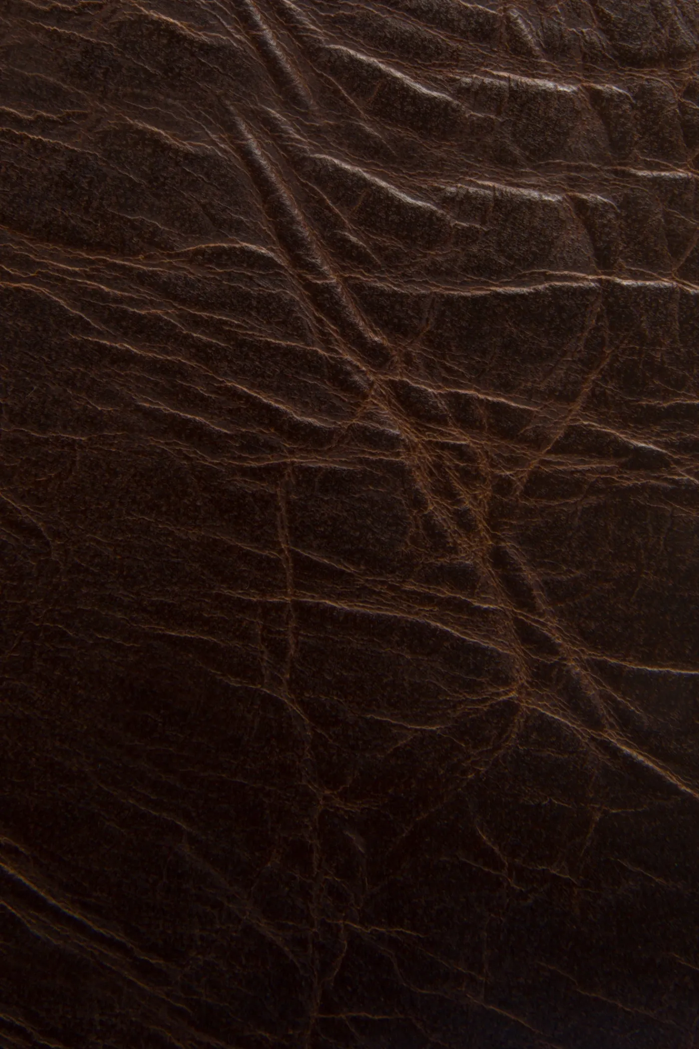 Outlet Frye Logan Slim Id Billfold Dark Brown