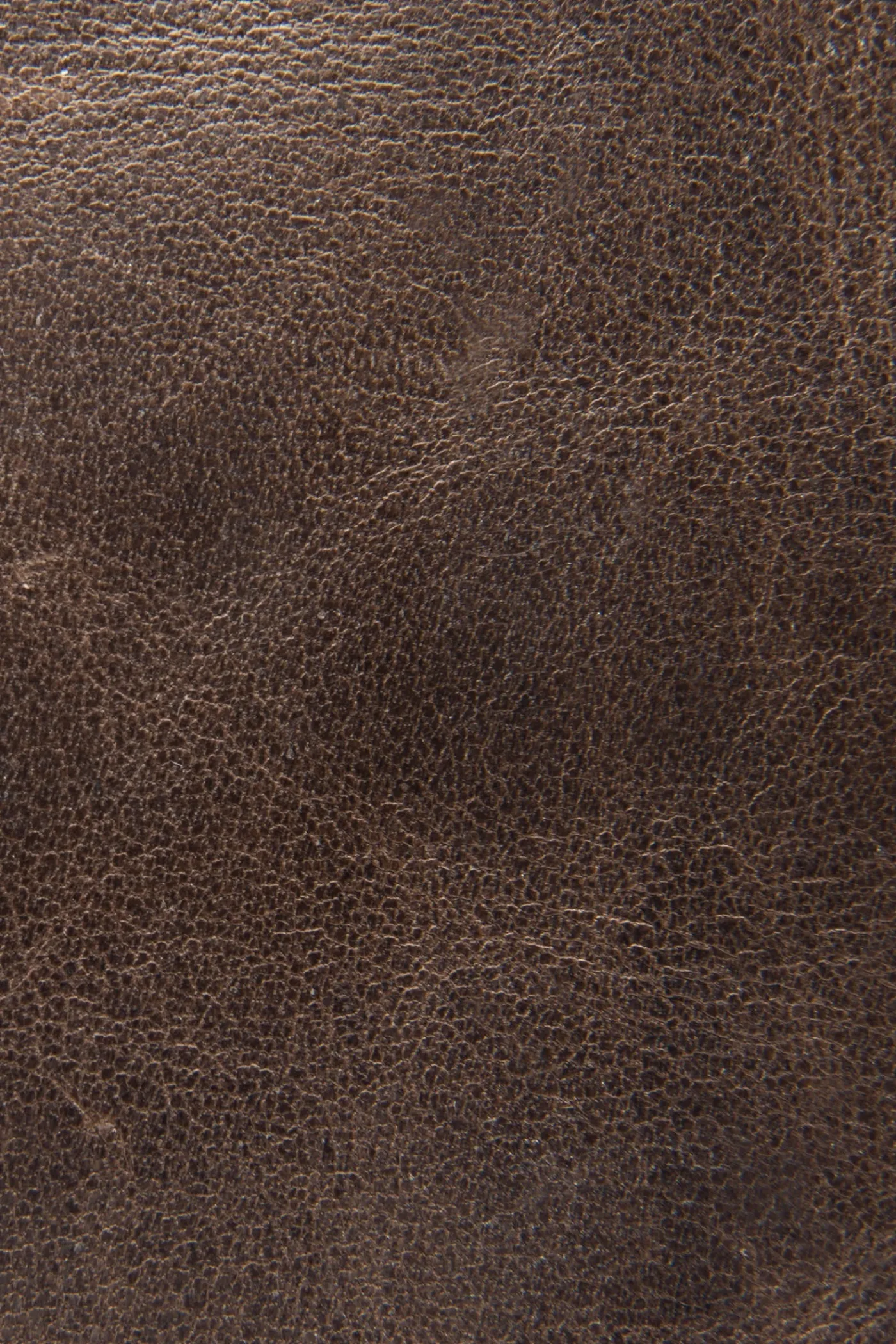 New Frye Logan Travel Dopp