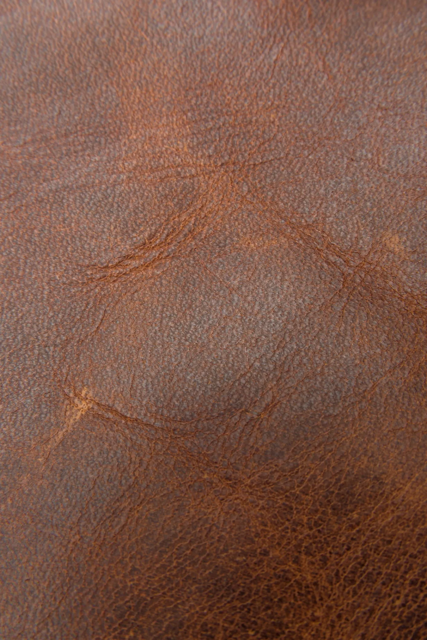 New Frye Logan Travel Dopp