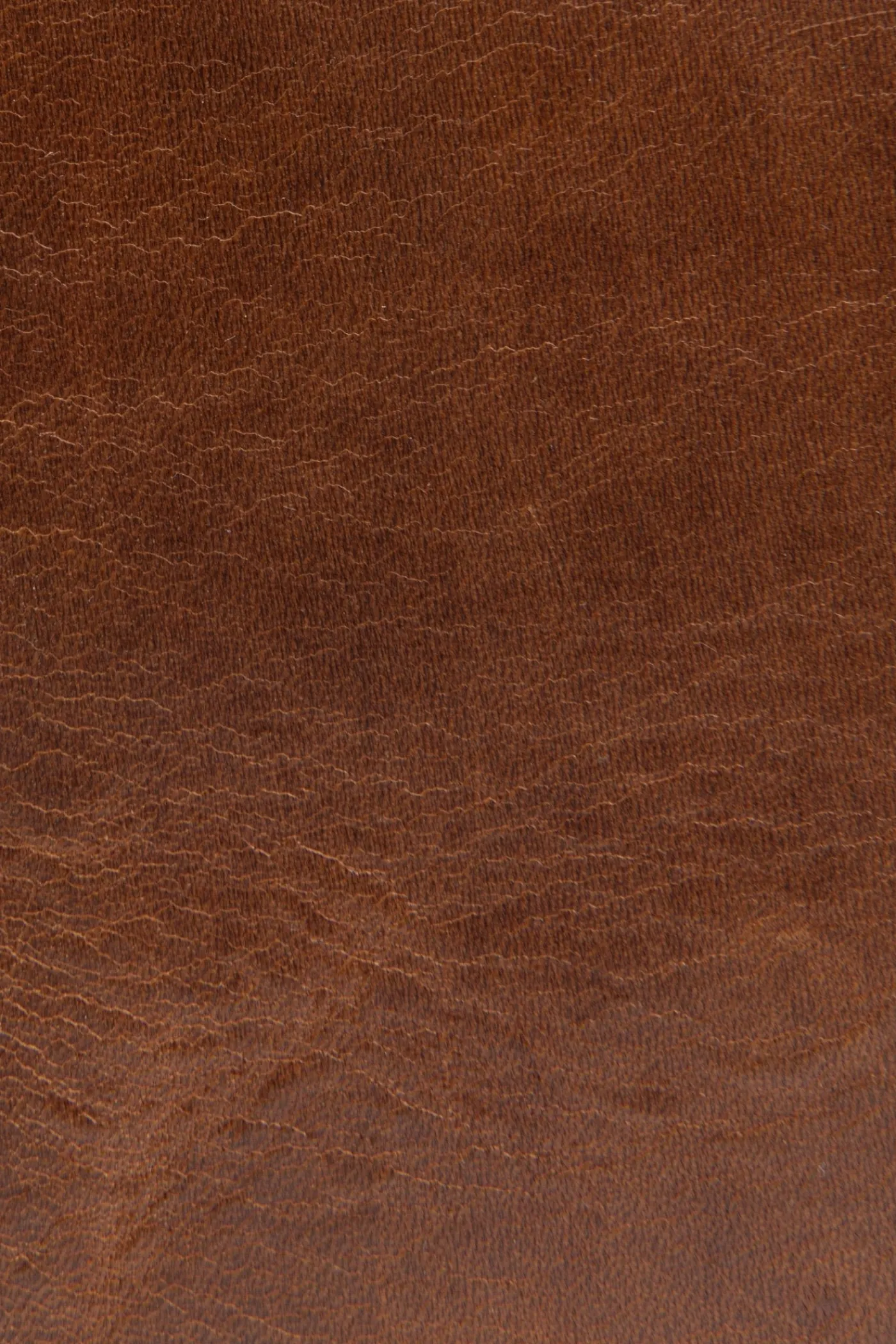 New Frye Melissa Carryall Cognac