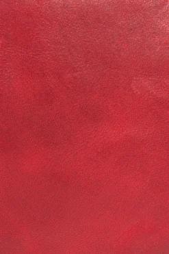 Fashion Frye Melissa Medium Crossbody