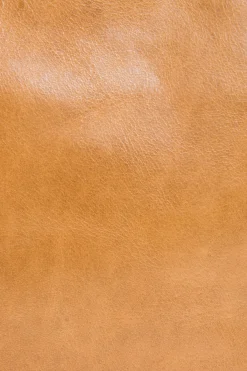 New Frye Melissa Swing Pack