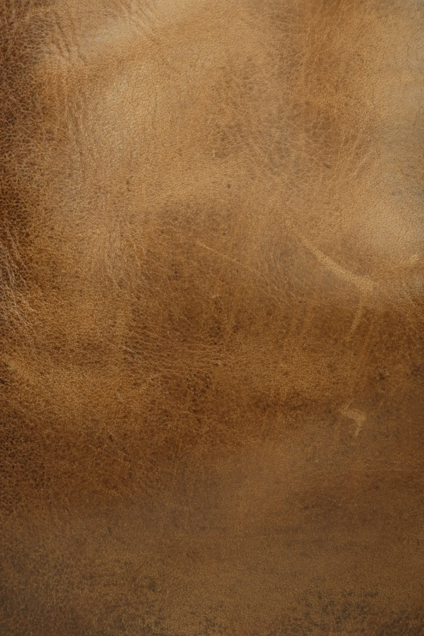 Shop Frye Melissa Tote