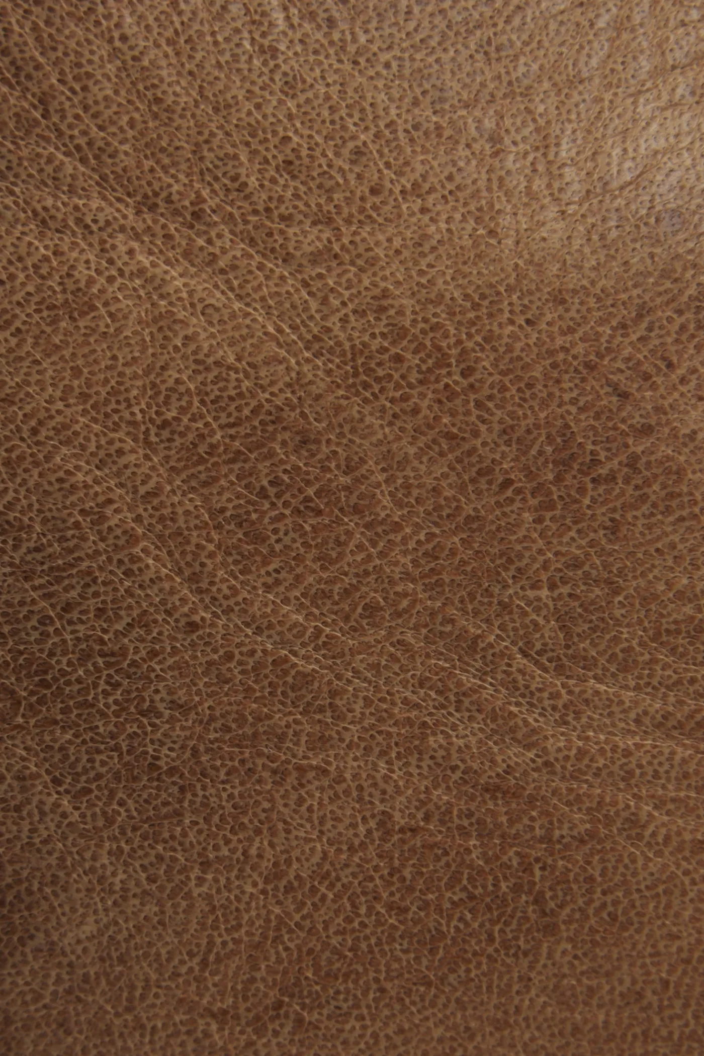 Shop Frye Melissa Tote