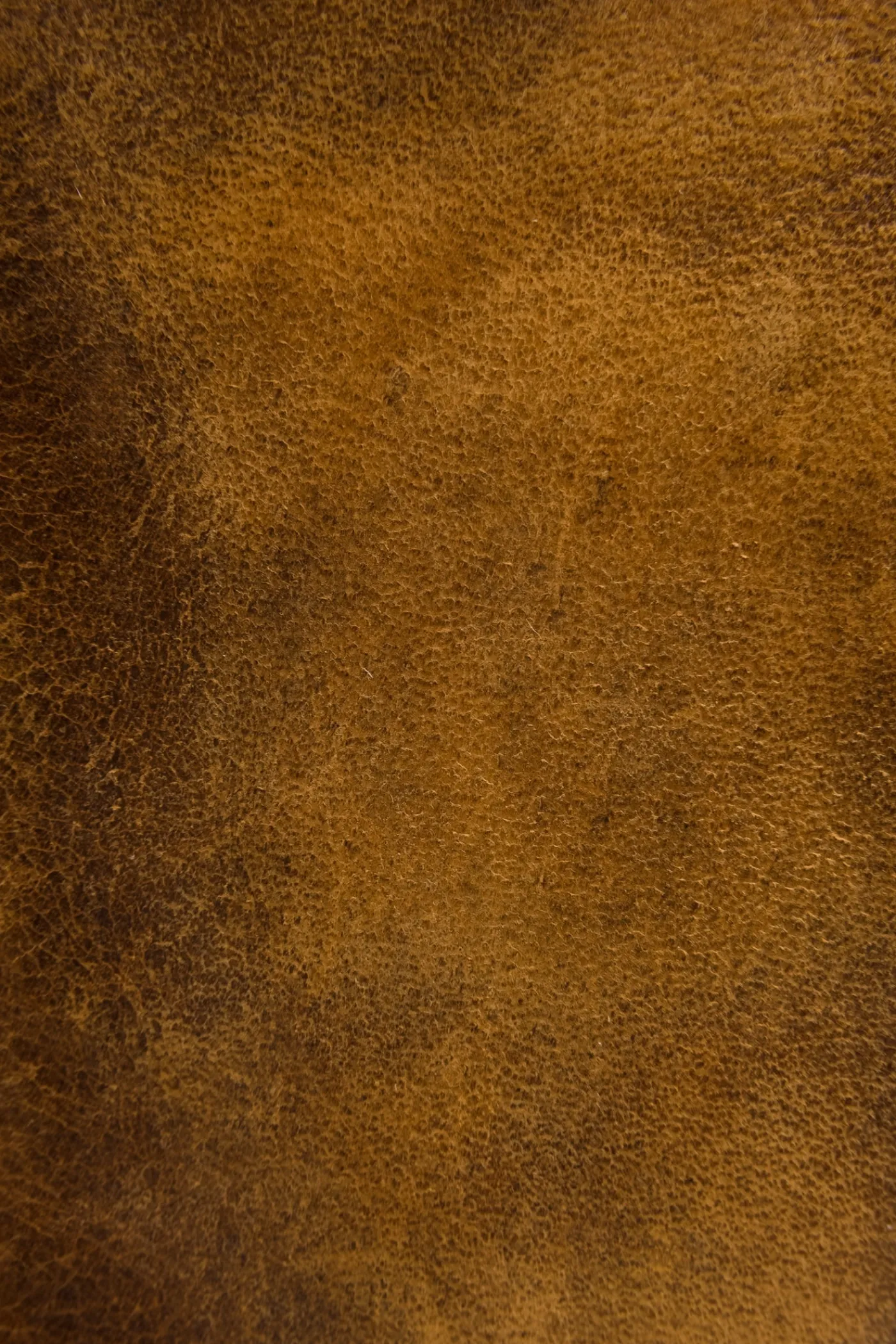 Hot Frye Melissa Wristlet