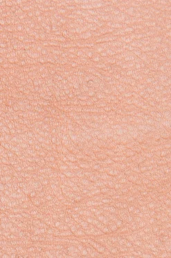 Cheap Frye Zuri Wallet Crossbody Cognac